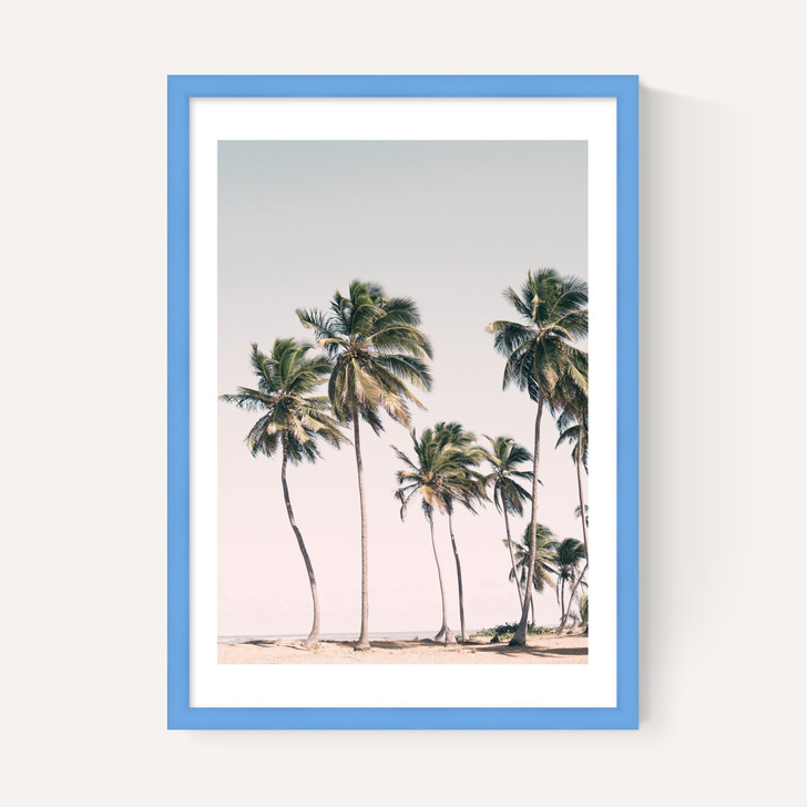 Island Dreams