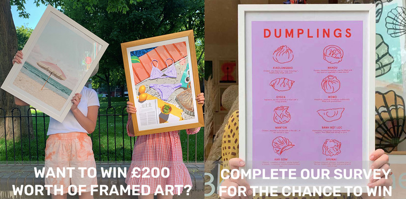 Win £200 worth of Framed Art - Survey Competition Terms and Conditions