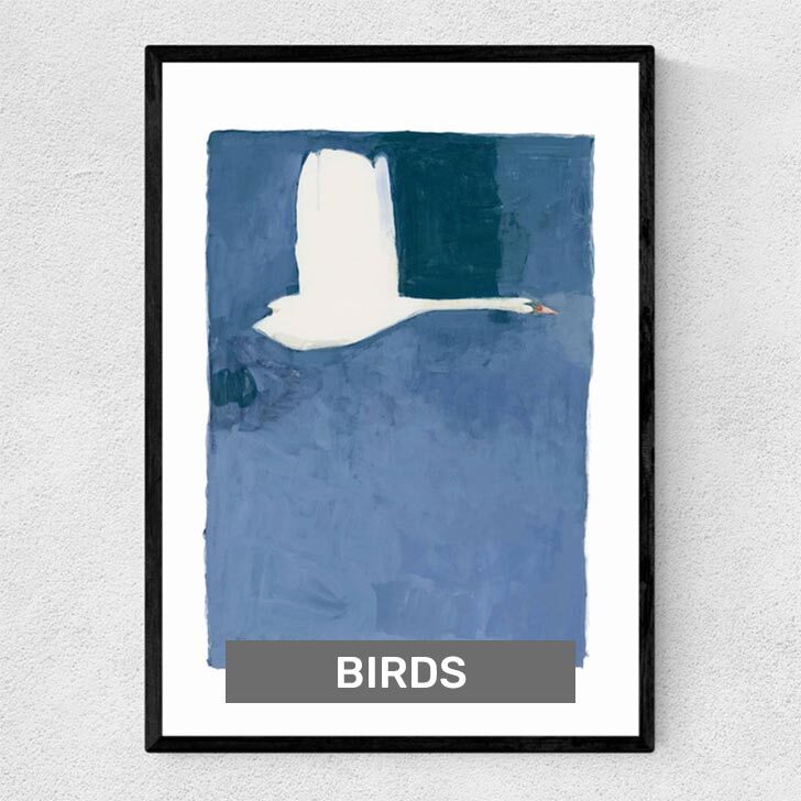 Birds Art Prints