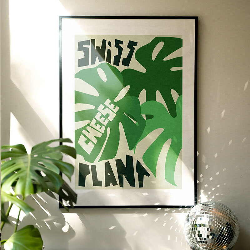 Swiss Cheese Plant art print by natalie cass in black frame