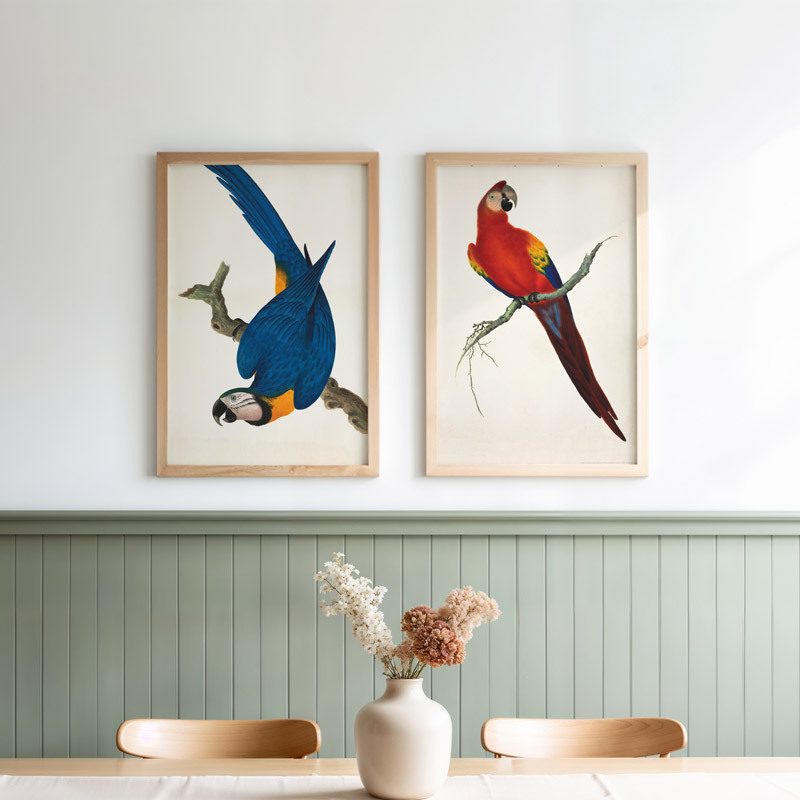 vintage parrots diptych art print set by the natural history museum in oak frame
