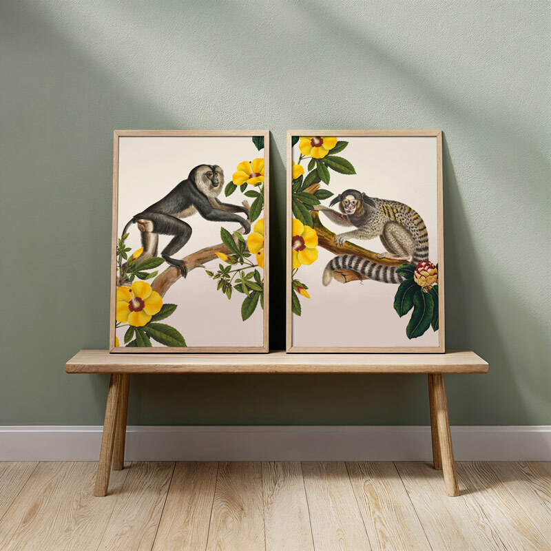 monkey diptych art print set by the natural history museum in oak frame