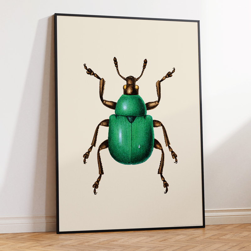 green beetle art print by the natural history museum in black frame