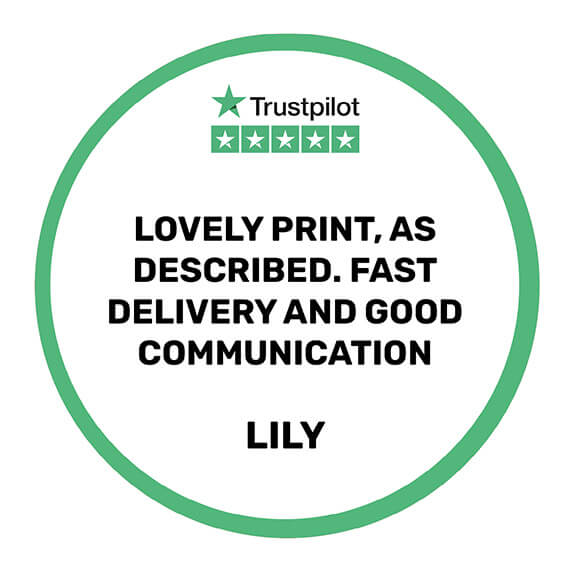 trustpilot-lily-1-.jpg