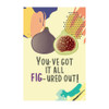 You've Got It All Fig-ured Out! Deluxe  Chocolate Box