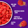 Popcornopolis Takis Fuego Popcorn - 2 Ounce Bags - 5ct Box 2