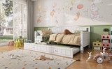 Daybed with Trundle Bed Sofa Bed,