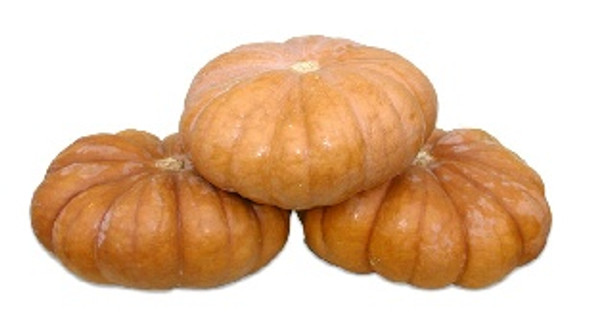 SQUASH YELLOW