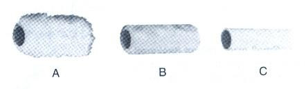 SPARE ROLLER BRUSH TYPE-B W102MM FOR REPLACEABLE ROLLER