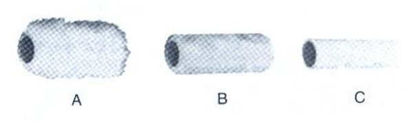 SPARE ROLLER BRUSH TYPE-C W77MM FOR REPLACEABLE ROLLER