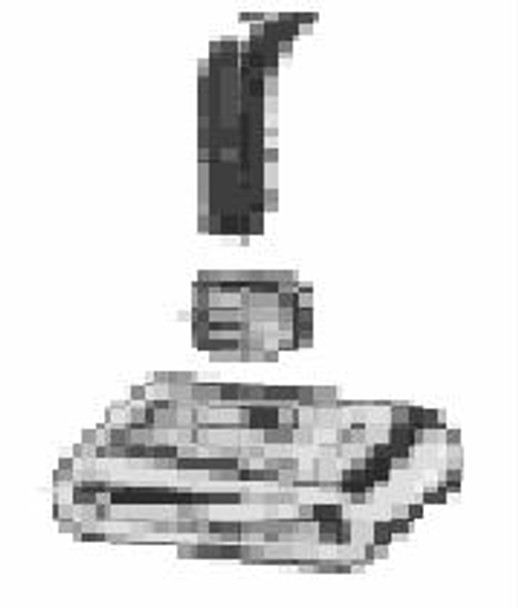 BANDING SCREW BUCKLE STAINLESS STEEL 16MMX25PCS