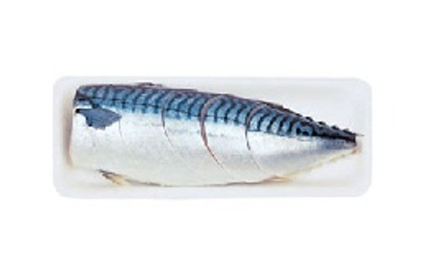 MACKEREL FILLET FROZEN