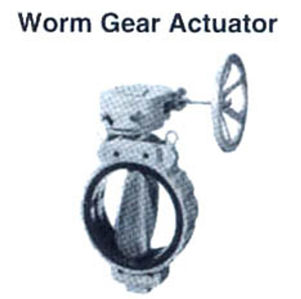 BUTTERFLY VALVE WAFER TYPE W/WORM GEAR 2-1/2"