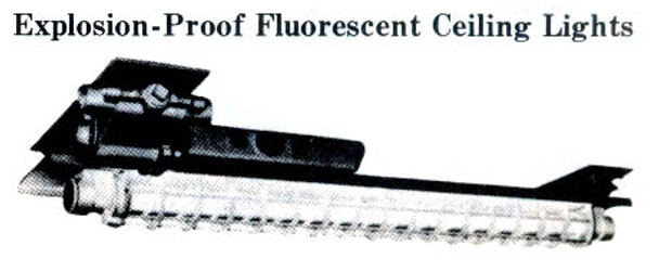 FL CEILING LIGHT EXPLOSION PROOF 20W DOUBLE AC220V