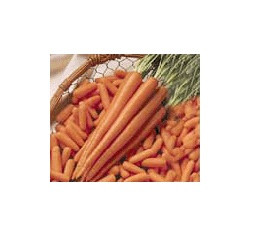 CARROT TOPPED FRESH