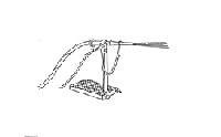 HOLD CLEANING GUN WATER TOBEY - IMPA 590741