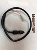 GV250 Rear Lamp Brake Switch