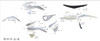 Kayo K2 230 Number Side Plate Pro Left and Right K2 Pro 250