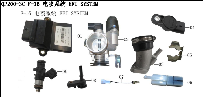 American Lifan KPM RS 200 Fuel Rail Injector Cap