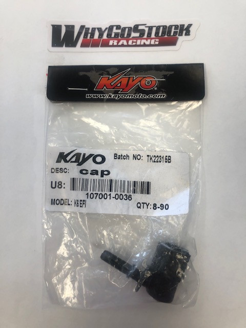 Kayo K6-EFI 250 Fuel Filter K6 - Whygostock.com