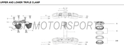 Steering Stem Barings Kit for SSR TR and TX models 110 125 140 160 170