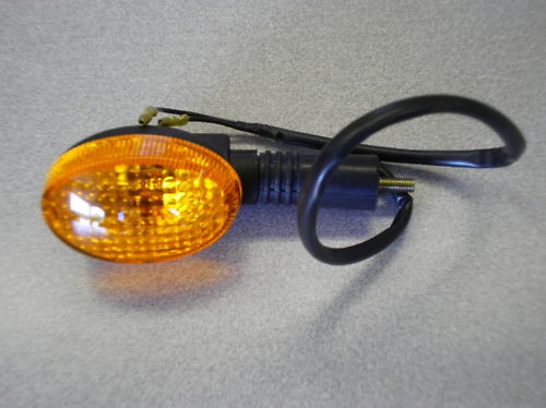 Left Rear Hyosung OEM Turn SIgnal