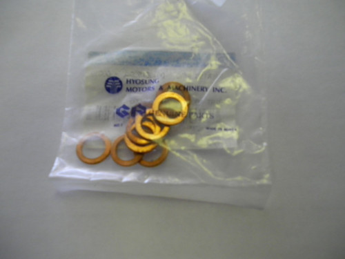 Washer, Brake Line ( Hyosung all models)