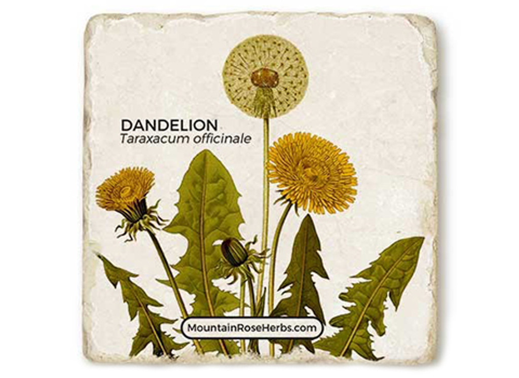 Dandelion Stone Coaster