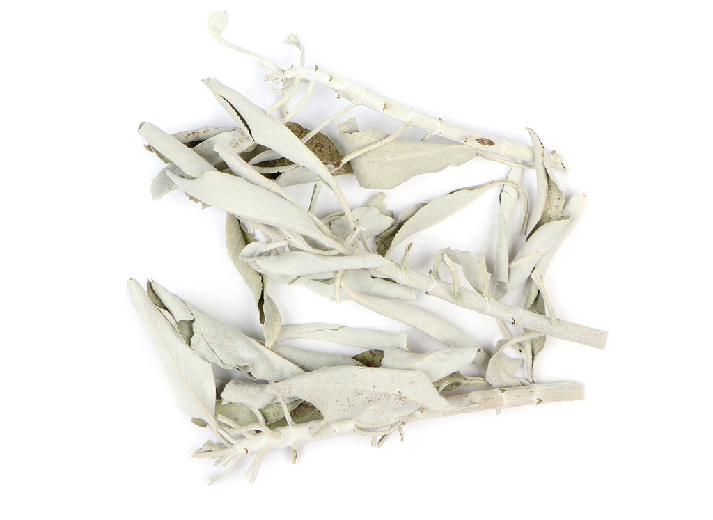 Organic Cultivated White Sage