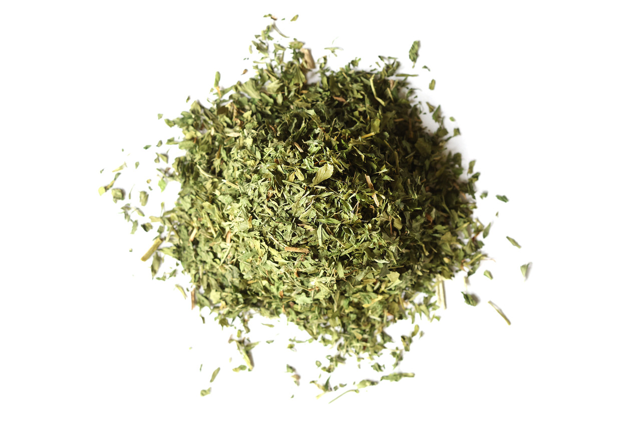 buy eucalyptus plant Silver Dollar 