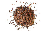 Organic Spicy Sprouting Seed Blend