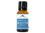 Organic Eucalyptus Essential Oil