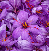 Fresh Saffron