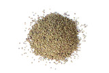 Organic Alfalfa Sprouting Seeds Whole