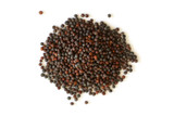 Organic Brown Mustard Seed