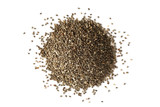 Organic Chia Seed