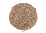 Organic Psyllium Seeds Organic Psyllium Seeds