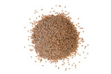 Organic Psyllium Seeds