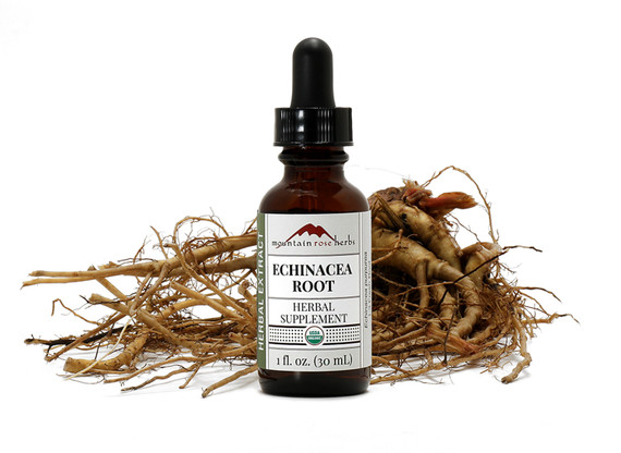 Echinacea Root Extract