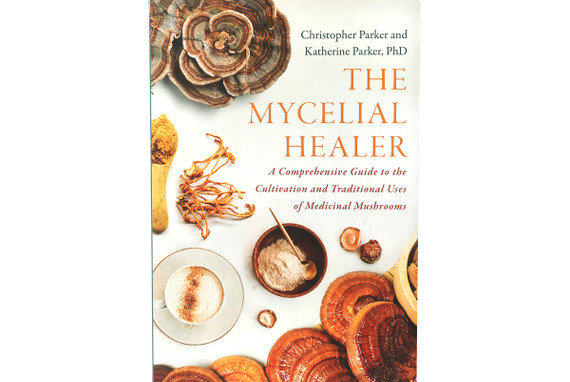 The Mycelial Healer