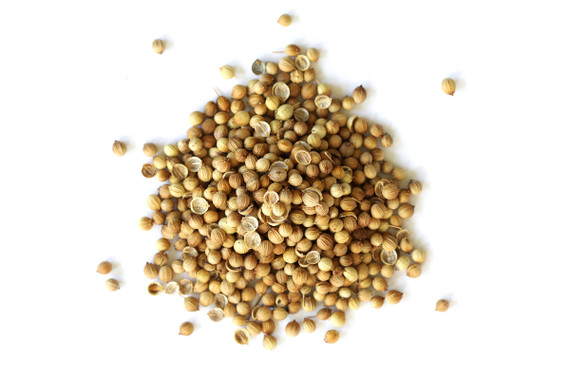 Organic Coriander Seed