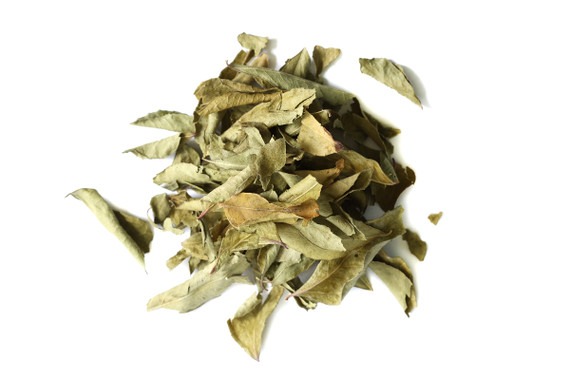 Organic Curry Leaves