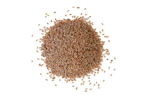 Organic Psyllium Seeds