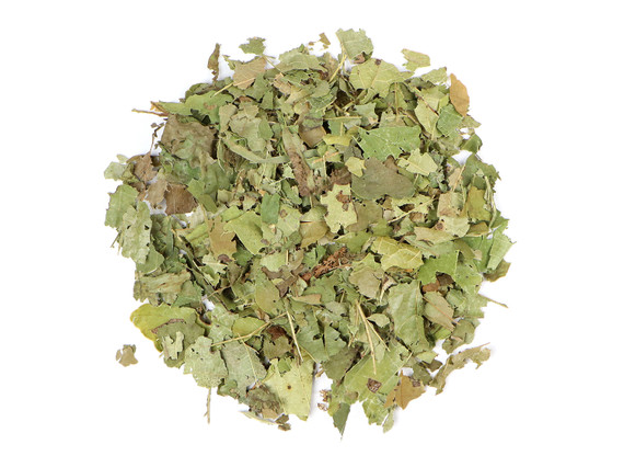 Organic Witch Hazel Leaf