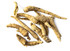 American Ginseng Root OG