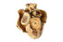 Organic Shiitake Mushroom
