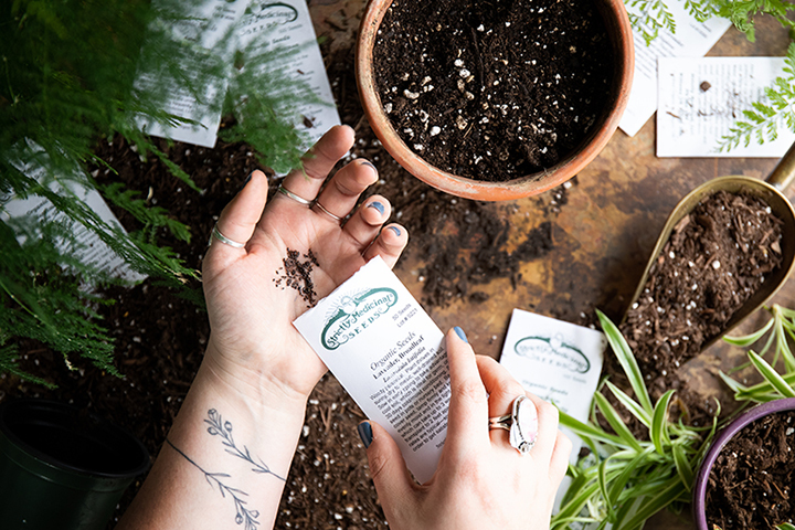 Seeds being planted into a pot.