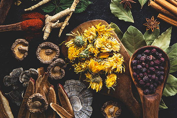Dried flowers, herbs, and mushrooms