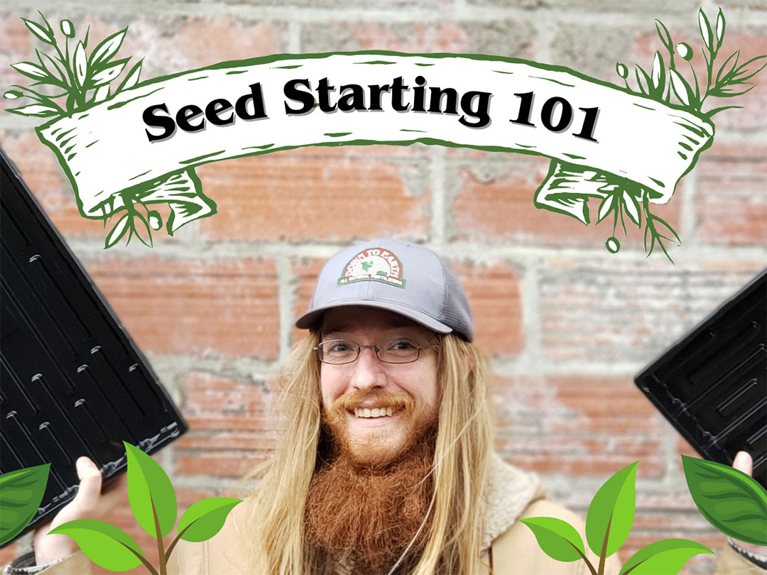 The Annex Mountain Rose Herbs