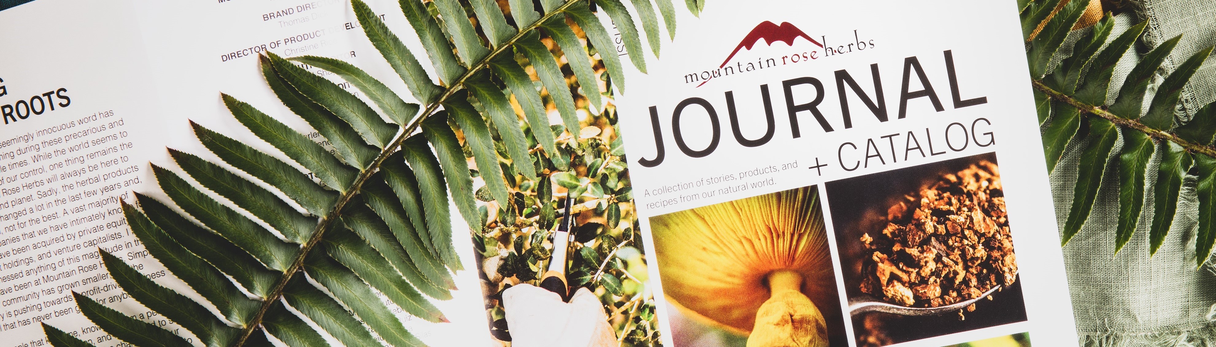 Mountain Rose Herbs - Summer Stories and Recipes 2019 by Mountain Rose Herbs  - Issuu